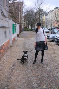 Boden British Tartan Skirt and Tora the Basenji Mix