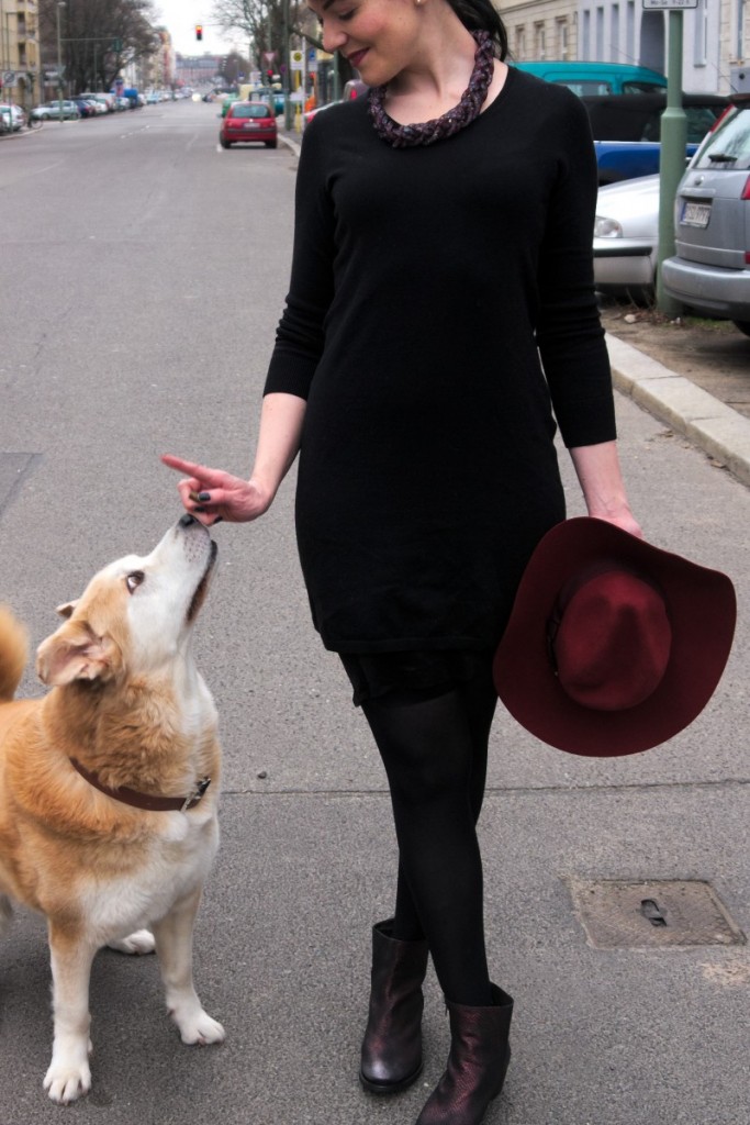 Akita and brunette in sweater dress and marsala fedora