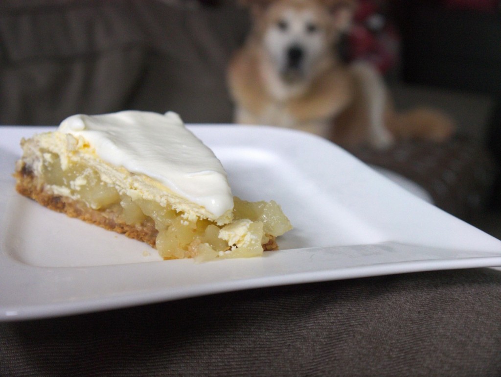 Pina Colada Pie watched by an akita