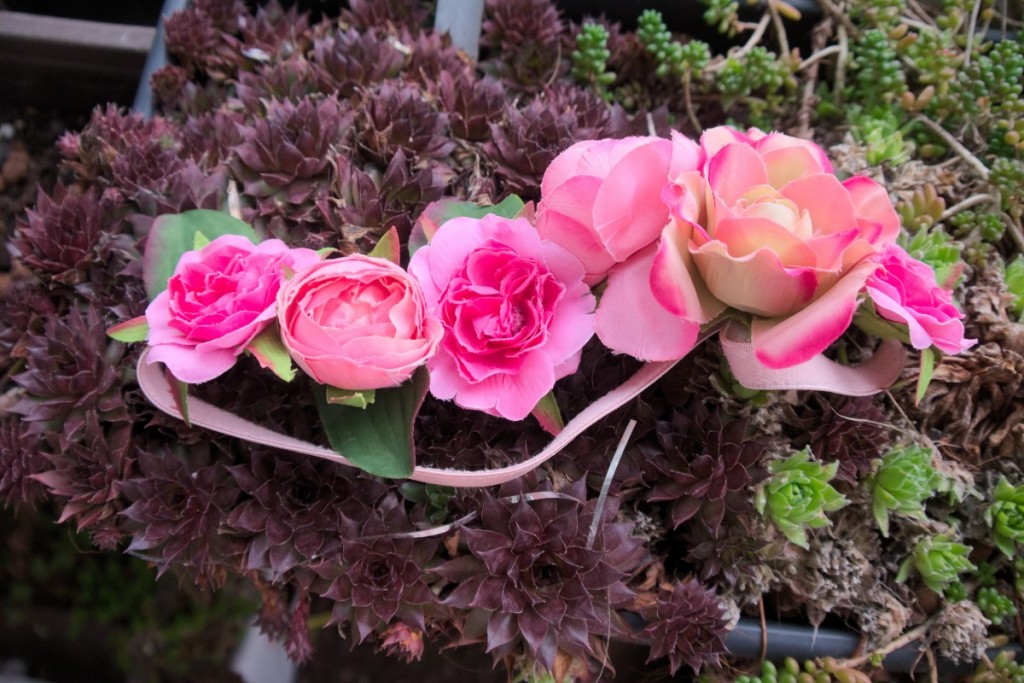 pink flower crown on red succulents