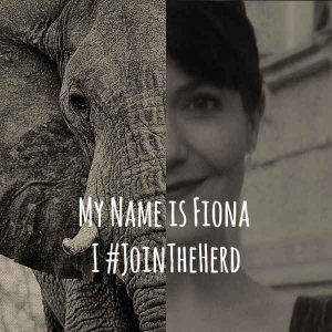 JoinTheHerd elephants