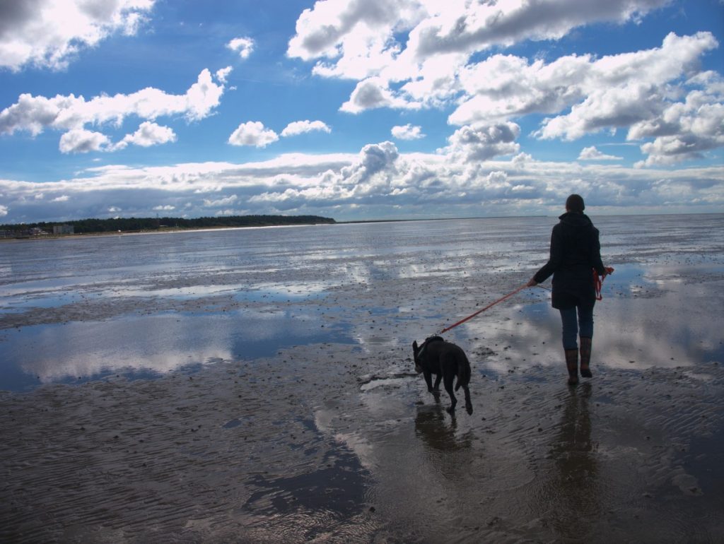 Sky over Cuxhaven Wattenmeer