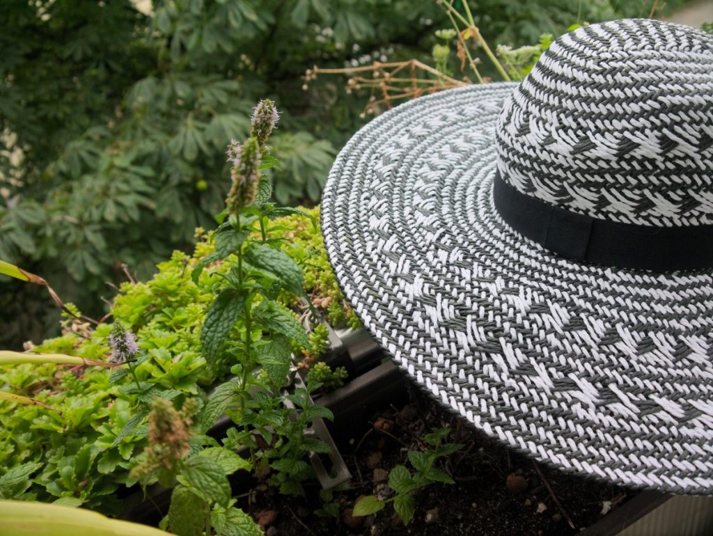 white cotton dress and straw hat