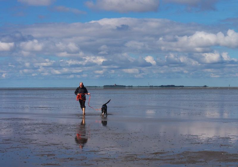 running with dog at the wadden sea with Neuwerk in background