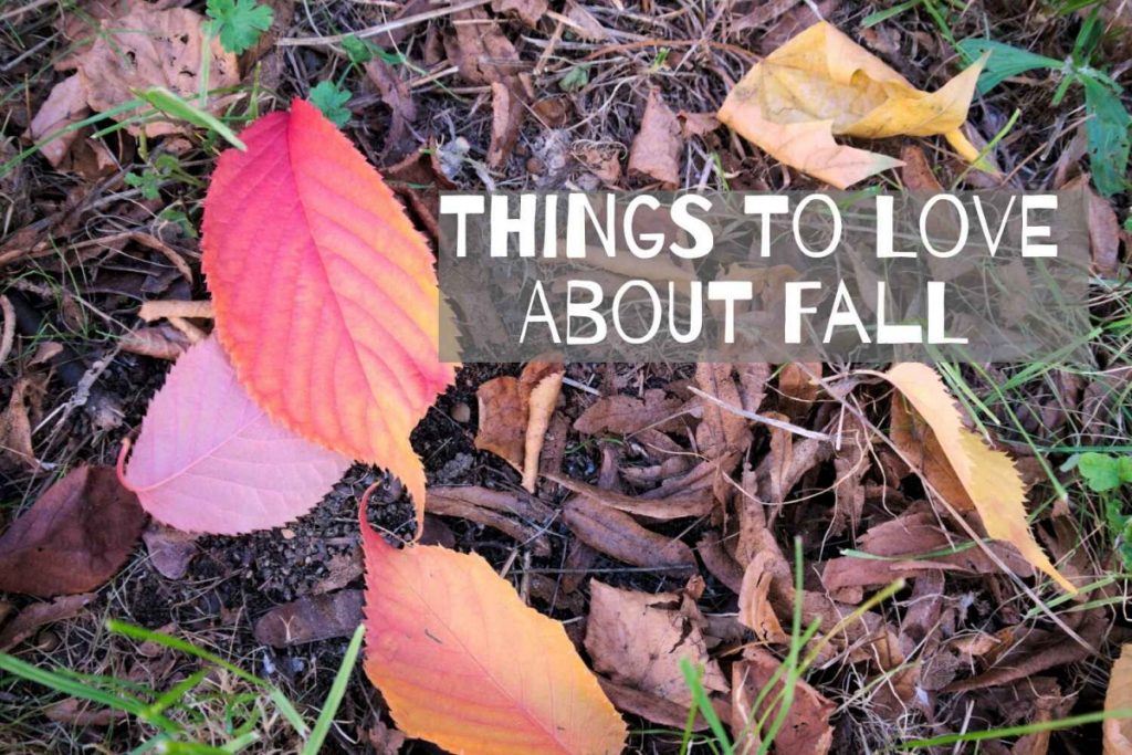 things to love about fall