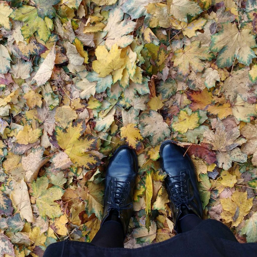 from where I stand fall leaves berlin