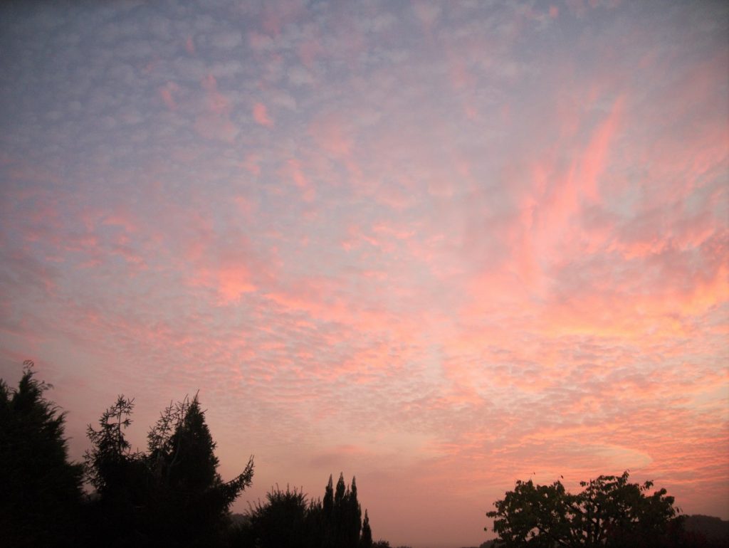 pink sky at dusk