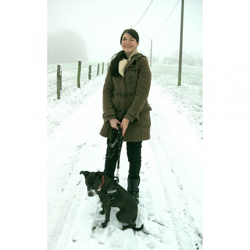 dufflecoat and basenji mix on a snowy day