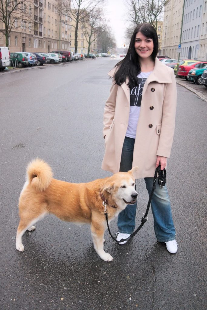 cream coat and akita