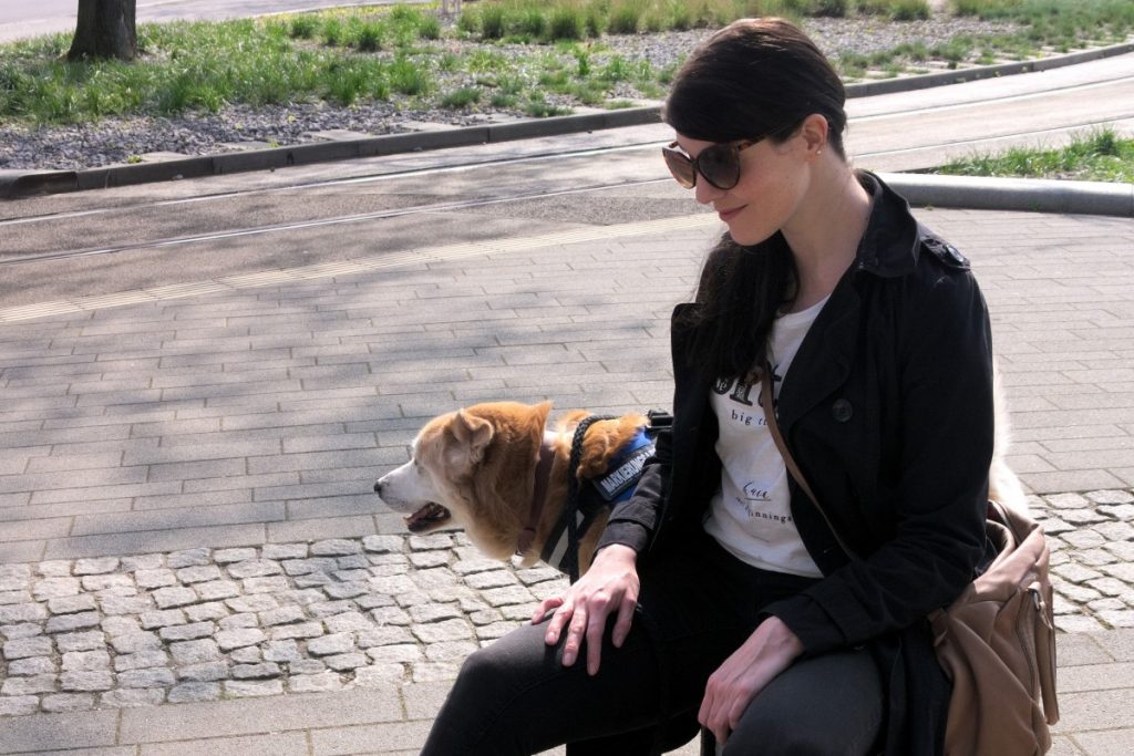 retro cat eye sunglasses and akita