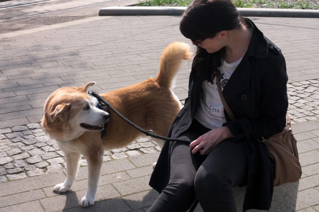 Spring Outfit with Trench, Slogan Tee and akita